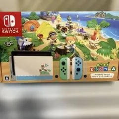Nintendo Switch あつまれどうぶつの森セット