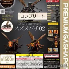 オータニ昆虫館 リアルスズメバチ | Mercari