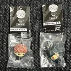 呪術廻戦 めじるしアクセサリー　死滅回游