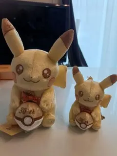 ポケモン 30周年記念 ピカピカ！ぬいぐるみ＆マスコット ピカチュウ セット