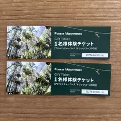 フォレストアドベンチャー ペアチケットのサムネイル
