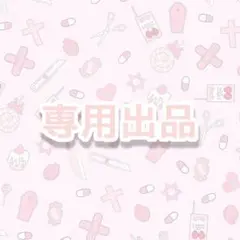 専用出品