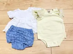 プティマイン　70サイズ