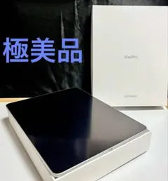 【極美品】 iPad Pro 12.9インチ 第4世代 1TB スペースグレイ