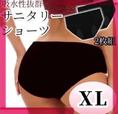 サニタリーショーツ 2枚組 XL 吸水 生理 ショーツ 下着 生理用品　mm18
