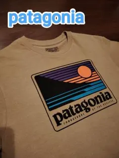 patagonia Tシャツ