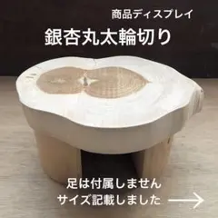 銀杏丸太輪切り　ハンドメイド素材　商品ディスプレイ　天然　多用途