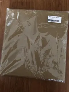 Item thumbnail for item e4471853-bdc6-4426-9e79-244b889dbe1a