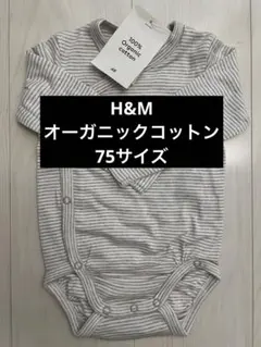 Item thumbnail for item af311962-5c85-49a1-977c-08892a64b980