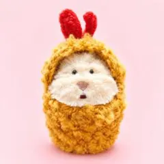 はむにぎり エビフライ ぬい活 ぬい撮り