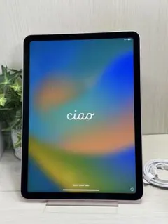 ✅✨超美品✨iPad Air 第4世代❣️256GB