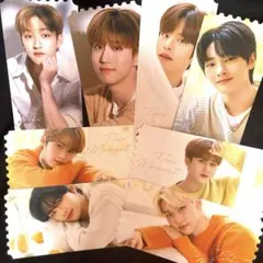 straykids nacific チケット