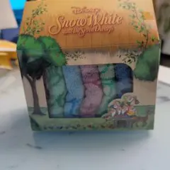 Disney 白雪姫 タオルセット 東京ディズニーリゾート