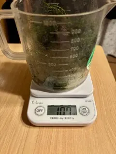 ウィローモス(水中葉) 100gのサムネイル