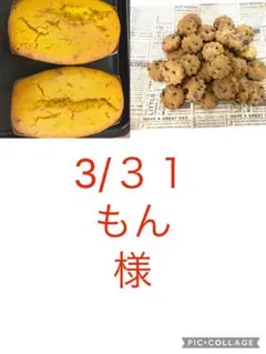 2026年最新】かぼちゃのチーズケーキ パンプキン かぼちゃの人気 