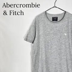 【白ロゴ】アバクロンビー&フィッチ 半袖カットソー 杢グレー ムースロゴ