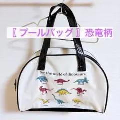 〖 プールバッグ 〗　恐竜柄　キッズ　ビーチバッグ　チャック　男の子
