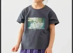 新品タグ付き any FAM キッズ Tシャツ 120cm 犬フォト