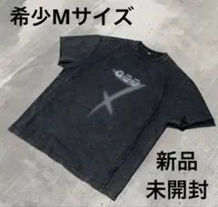 ジン/SUGA/ホビ着用】 NY限定 BTS アリラン Tシャツ 希少Mサイズ