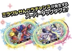 ポケモンメザスタ　オリジナルスペシャルタグ　全2種セット