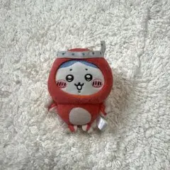 ちいかわ ハチワレ たこイカくじ D賞