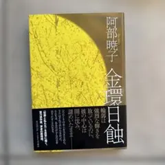 金環日蝕 阿部暁子