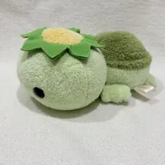 まつもと　ぬくまろせらぴ　フリッカ　fricca　ぬいぐるみ　かっぱ　タオル地 まつもと ぬくまろせらぴ フリッカ fricca ぬいぐるみ かっぱ タオル地