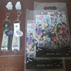 すとふぇす 2025 東京ドーム公演 通しチケットプレミアムグッズ