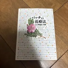 Item thumbnail for item a95cddf8-f0e7-475b-9679-eb8113f96a93