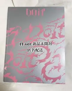 Stray Kids DO IT 新品未開封 IT Ver スキズ