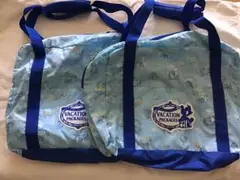 ディズニー　バケーションパッケージオリジナルグッズ(トラベルバッグ)2個セット