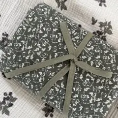 Item thumbnail for item 2ebfdd76-8be0-48e1-b980-56064e3e246a