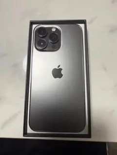 iPhone 13 Pro 256GB グラファイト 本体　SIMフリー