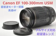 Canon純正 100-300mm 望遠レンズ a4658 - メルカリ