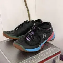 【人気】 YONEX バドミントンシューズ ECLIPSION　Z 25cm
