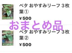 okeiko様 リクエスト 2点 まとめ商品