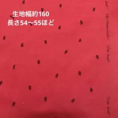 Item thumbnail for item d666f66f-e514-4e19-bbf2-aee3f8d25524