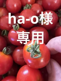 ha-o様•*¨*•.¸♬︎