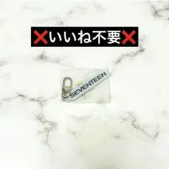 seventeen パフォチ right here イルコン アクキー