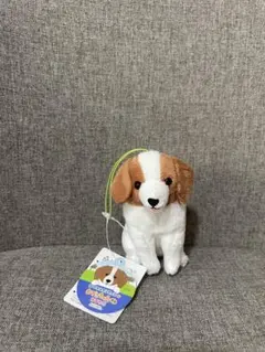 2025年最新】コーイケルホンディエのおでこちゃんの人気アイテム