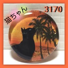 レジン 猫 ヘアゴム ブローチ ポニーフック No.770 - メルカリ