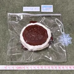 ワイテルズ　マイク型チョコレート　きんとき　空箱 ワイテルズ きんとき メンバープロデュースグッズ マイク型チョコ 空箱