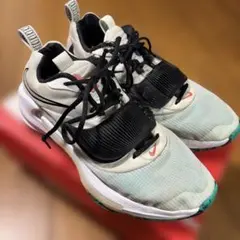 美品】JORDAN AIR REV ジョーダン エア レブ ゴルフ25cm - メルカリ