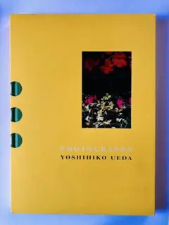 2026年最新】上田義彦 写真集の人気アイテム - メルカリ