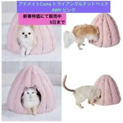 Item thumbnail for item 6e1af5ef-b7d0-49ef-944a-f76f690640f0