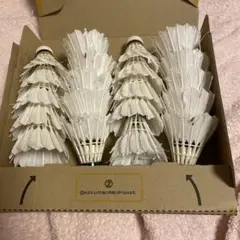 バドミントン中古シャトル500