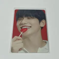 txt スビン　トレカ　sanctuary