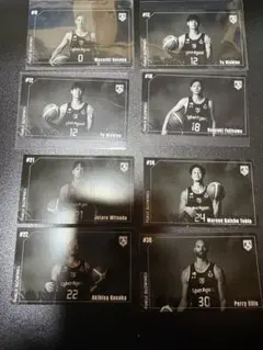 Item thumbnail for item c8a74802-30c6-463b-93e2-51eb49362bbd