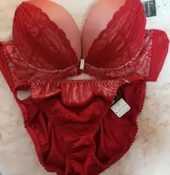 ブラジャー d80