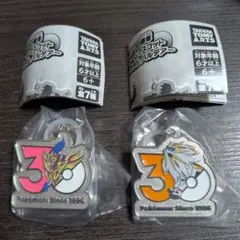 ポケモン30周年 メタルチャームマスコット ザマゼンタ ソルガレオ　②